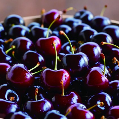 黑 (紅) 櫻桃禮盒